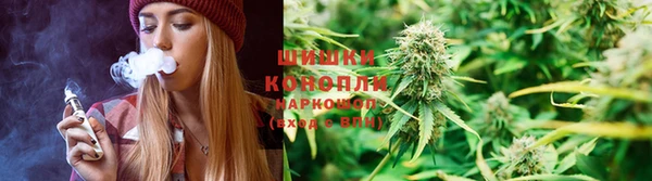 ГАЛЛЮЦИНОГЕННЫЕ ГРИБЫ Алексин
