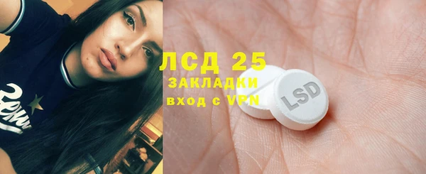 ГАЛЛЮЦИНОГЕННЫЕ ГРИБЫ Алзамай