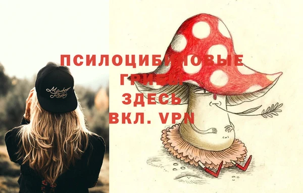 мяу мяу мука Пролетарск