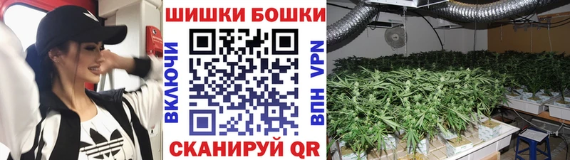 Конопля индика  hydra маркетплейс  Порхов  наркотики 
